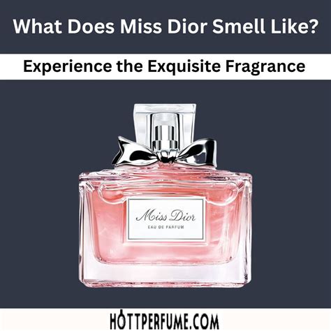 best perfumes dior|what does miss Dior smell like.